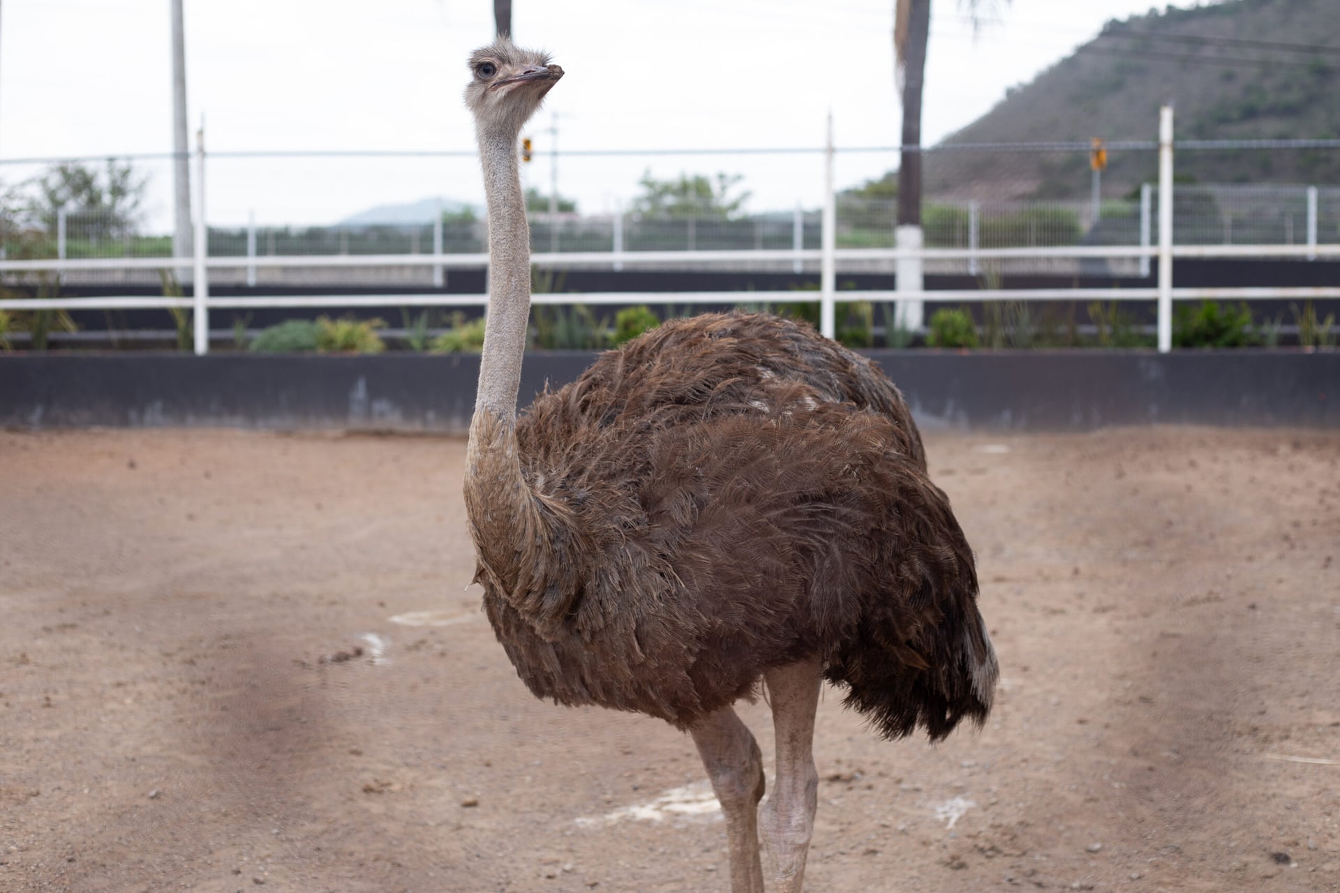 Centro de ayuda completo con guías y soporte