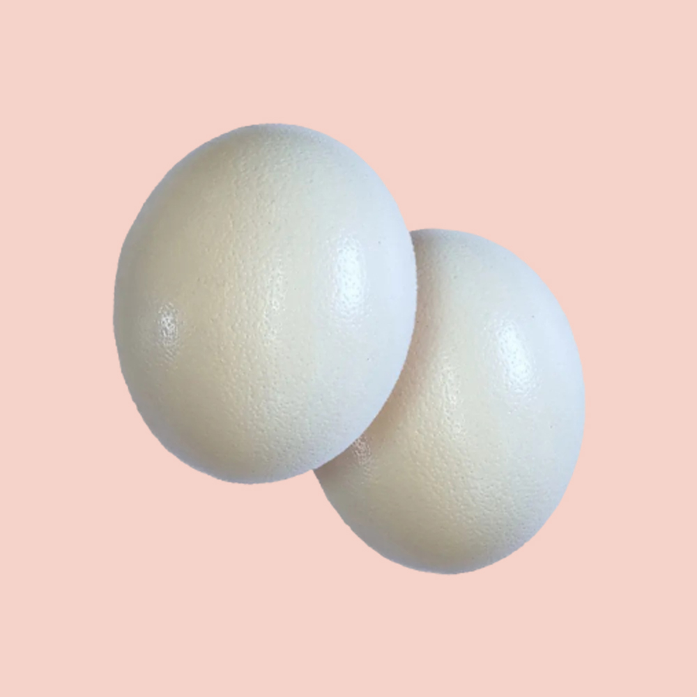 Huevos de avestruz