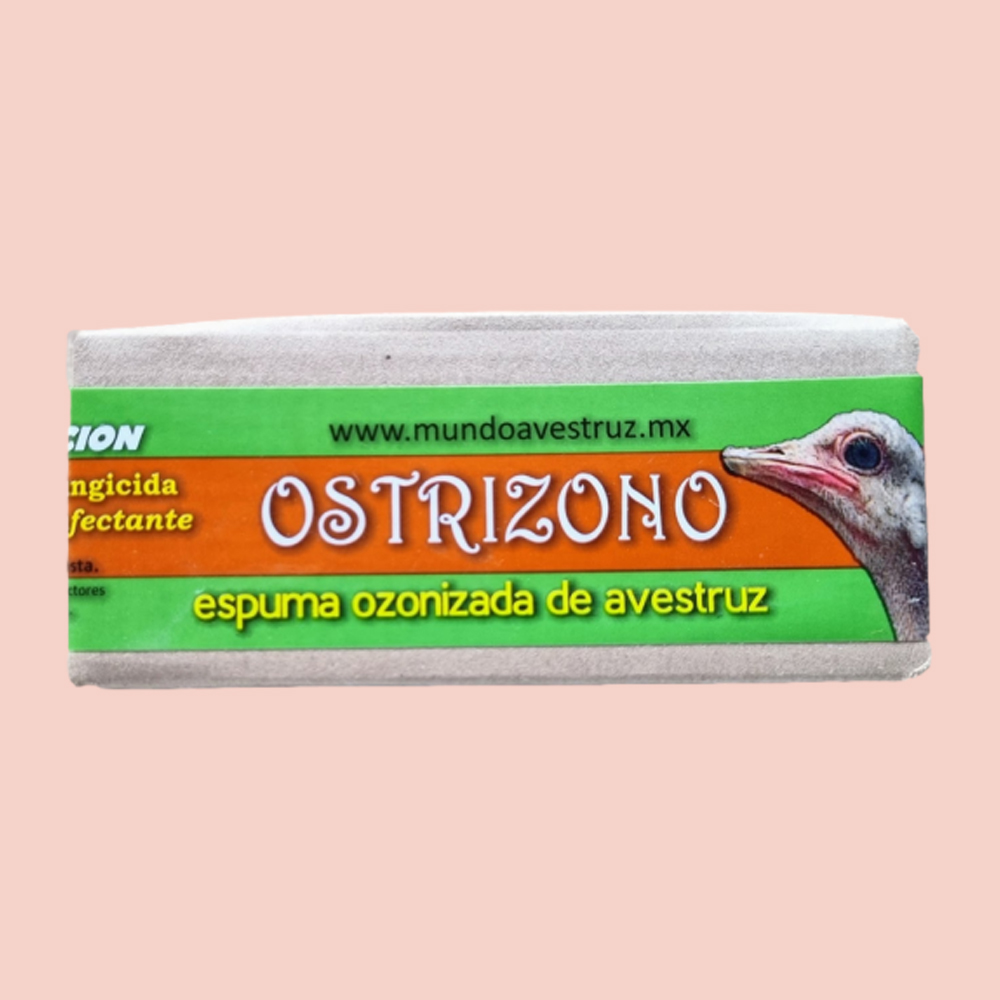 Ostrizono