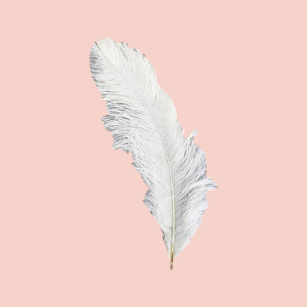Plumas blancas - Image 3